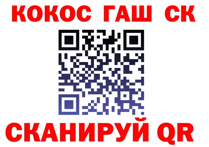 COCAIN Эквадор ТОР площадка гидра Краснознаменск