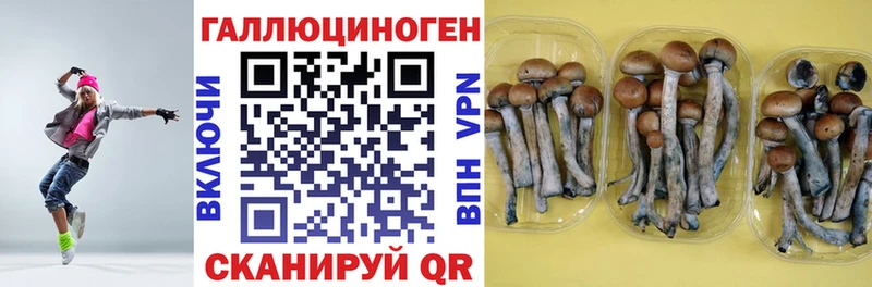 Купить закладки  Краснознаменск  Псилоцибиновые грибы мухоморы 